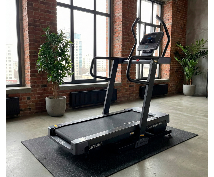 Беговая дорожка FITFABRICA SKYLINE