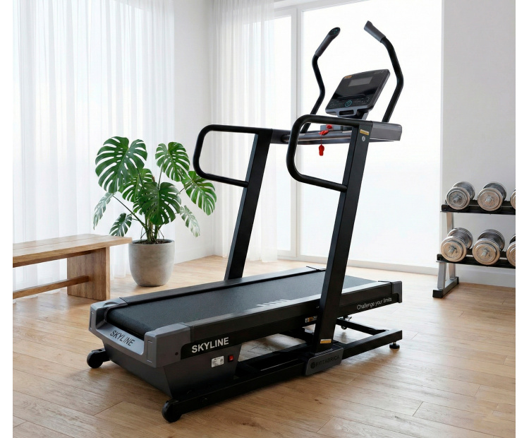 Беговая дорожка FITFABRICA SKYLINE