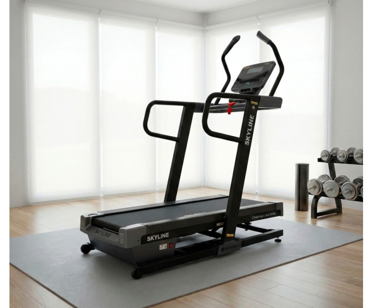 Беговая дорожка FITFABRICA SKYLINE