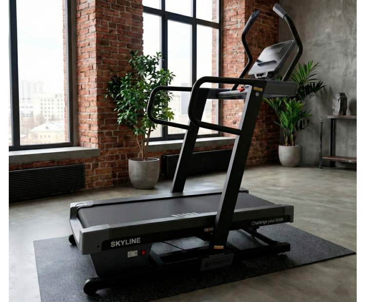 Беговая дорожка FITFABRICA SKYLINE