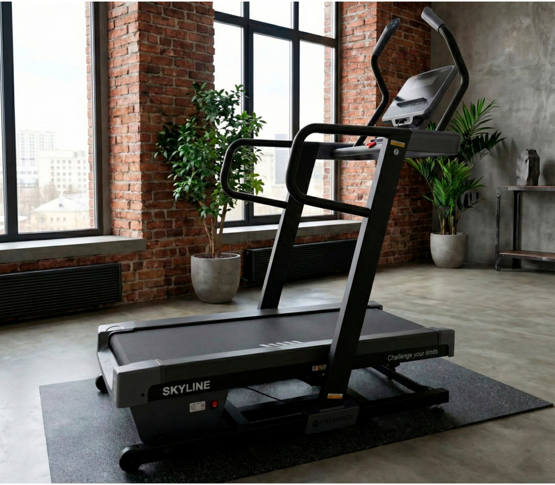 Беговая дорожка FITFABRICA SKYLINE: описание и отзывы - купить в