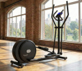 Орбитрек FITFABRICA MAESTRO Program