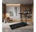 Беговая дорожка FITFABRICA EVA X1