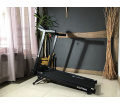 Беговая дорожка FITFABRICA ALPINA