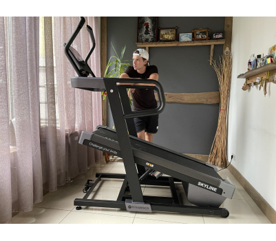 Беговая дорожка FITFABRICA SKYLINE